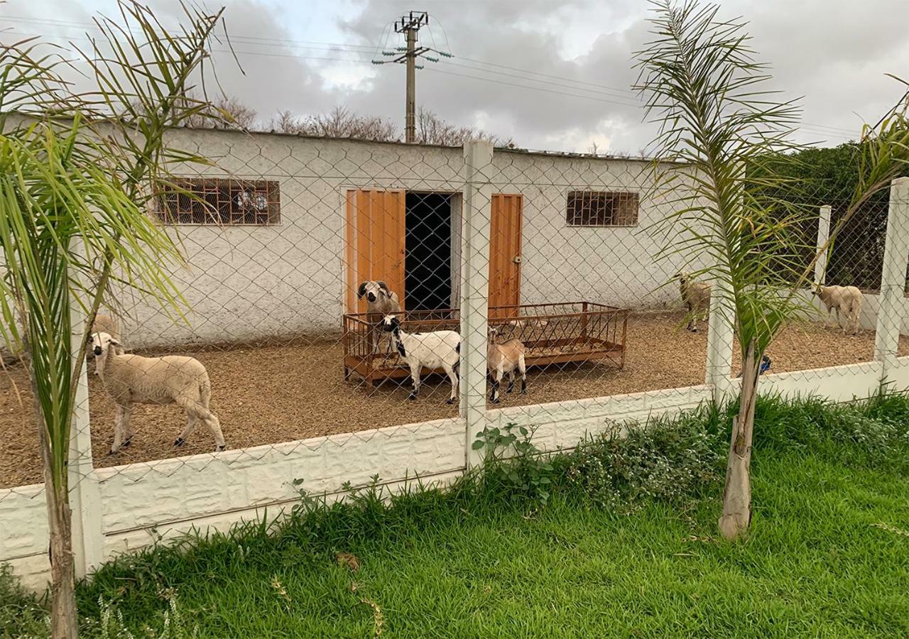 فيلا Palm Grove Farm Tit Mellil المظهر الخارجي الصورة
